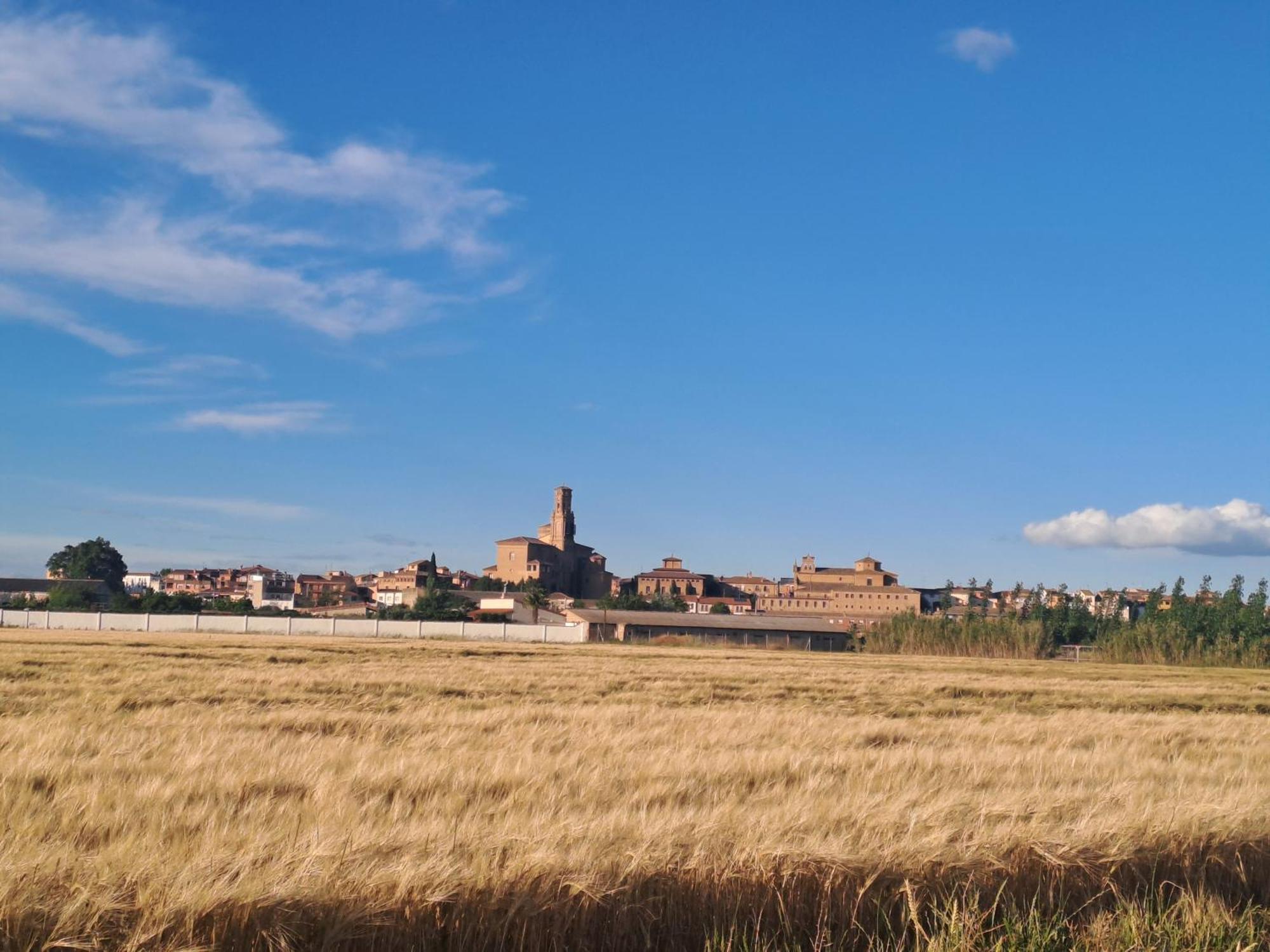 Apto Rural Alesves Esencia De Bardenas Navarra Villafranca 外观 照片